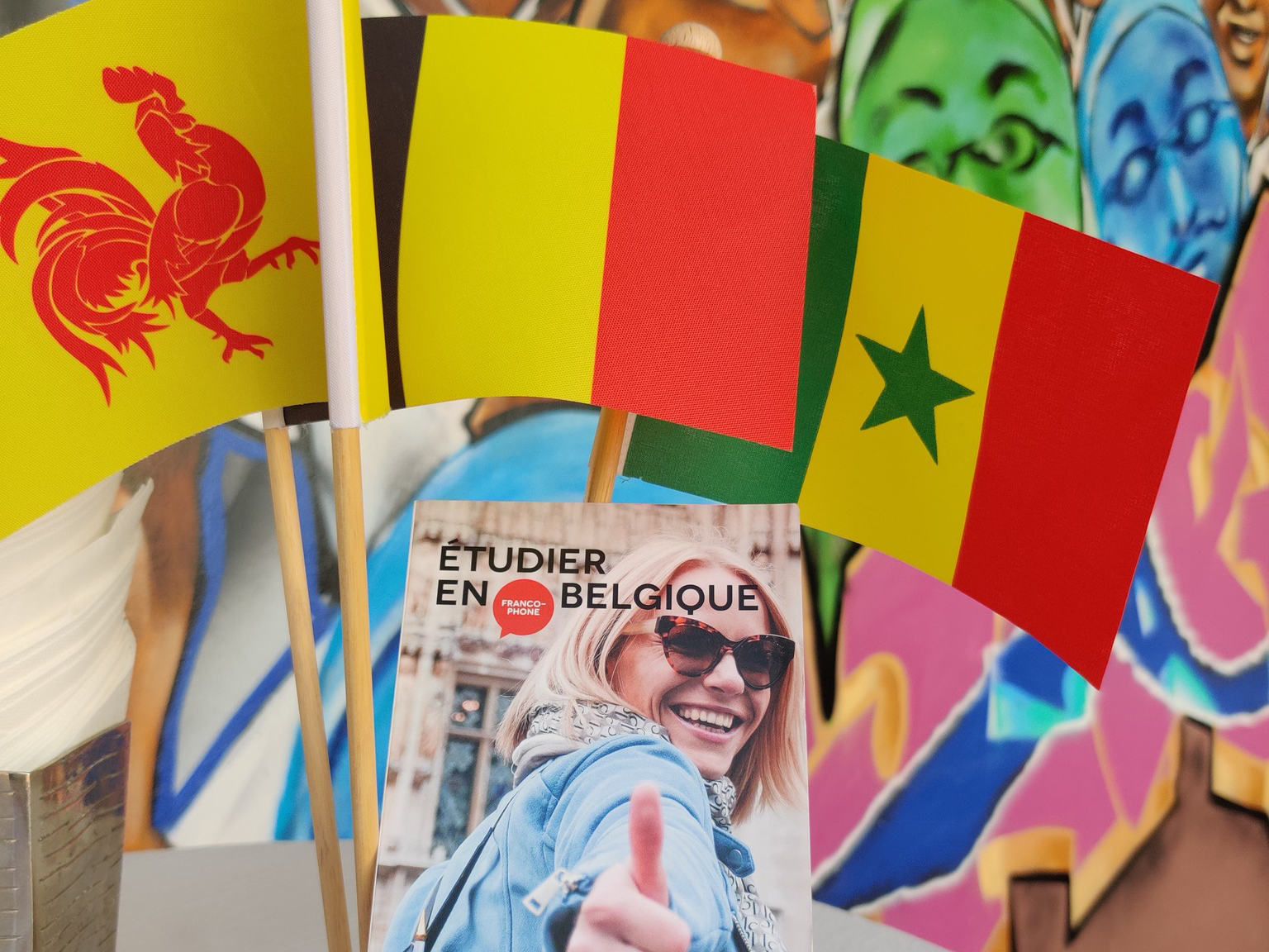 délégation au sénégal