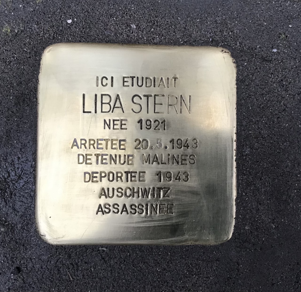 Liba Stern