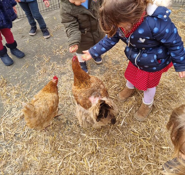 Ferme à l'école