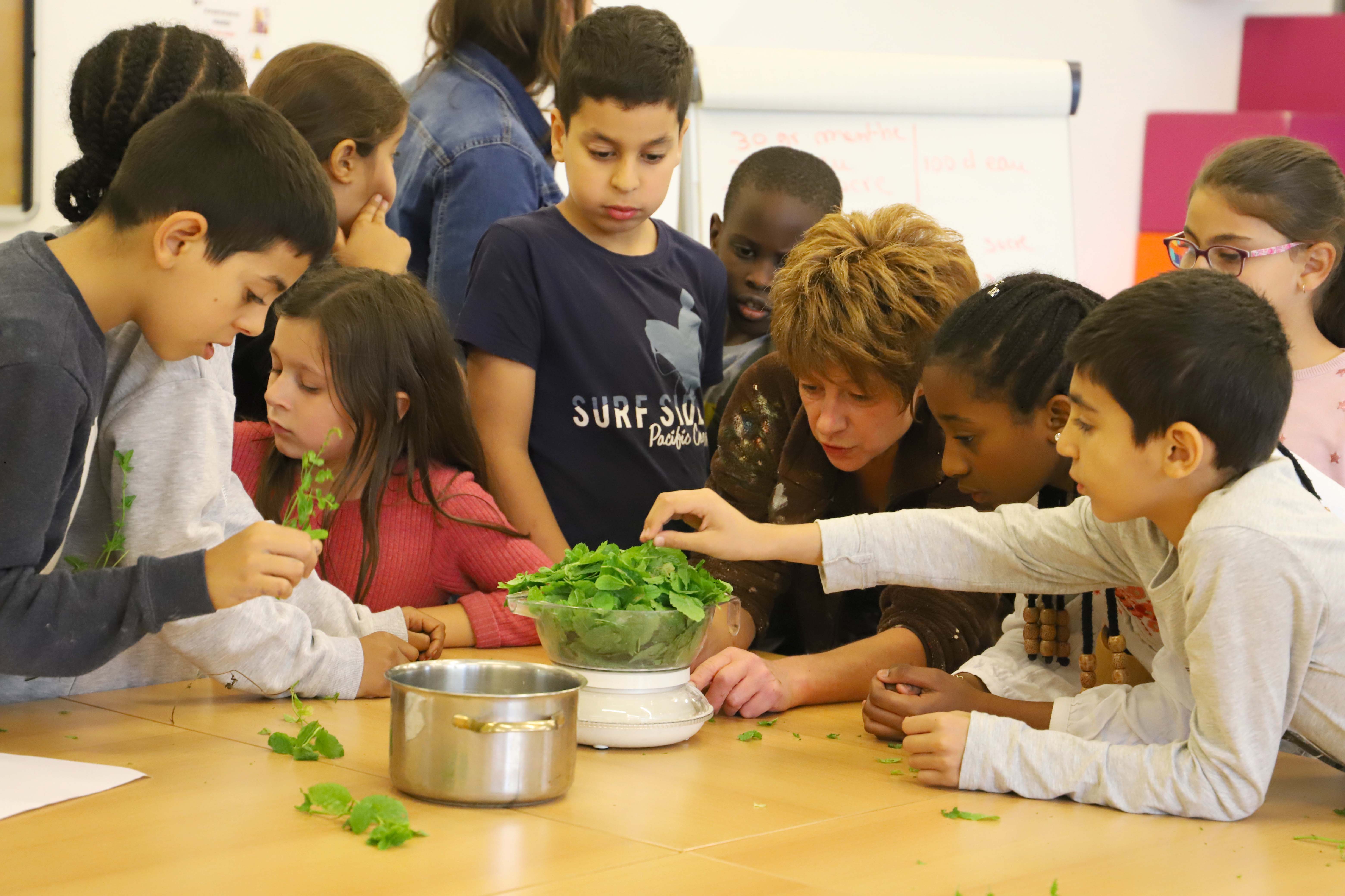 santé potager cuisine