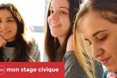 Mon Stage Civique - Capture Web