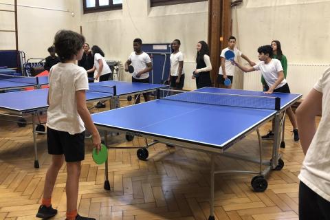 Mixité sport