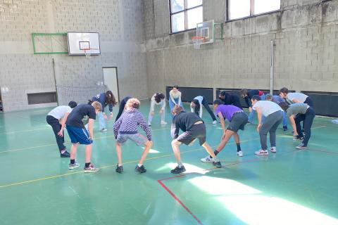 mixité dans le sport