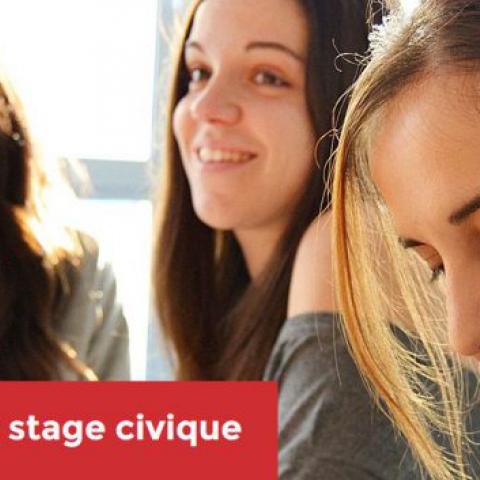 Mon Stage Civique - Capture Web
