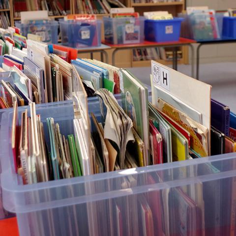 Livres dans un bac en plastique