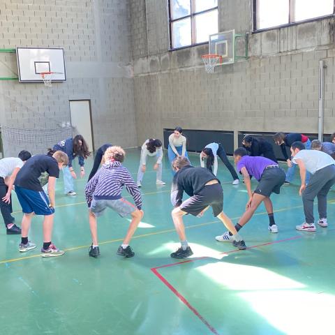 mixité dans le sport